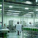 製造ラインの様子、清潔な工場と作業スタッフ